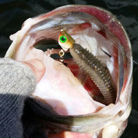 Warbaits Underspin - Flagship