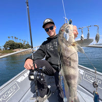 Warbaits War/Rig Premium 6 Blade Umbrella Rig