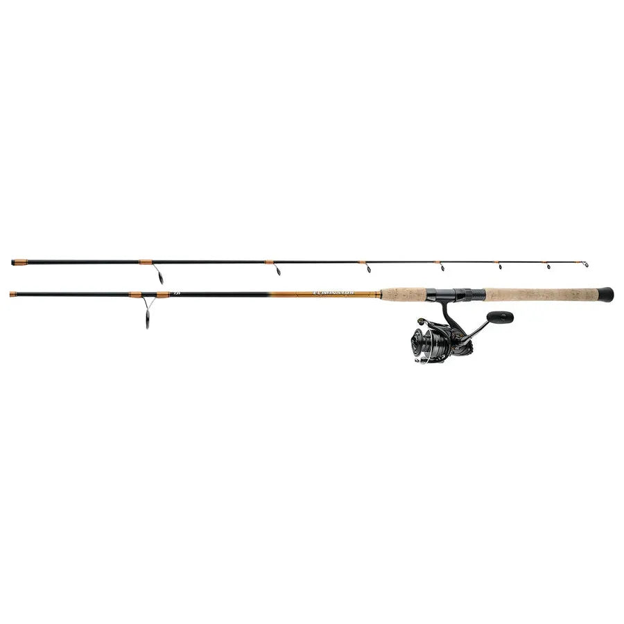 Daiwa Eliminator Saltwater Combo