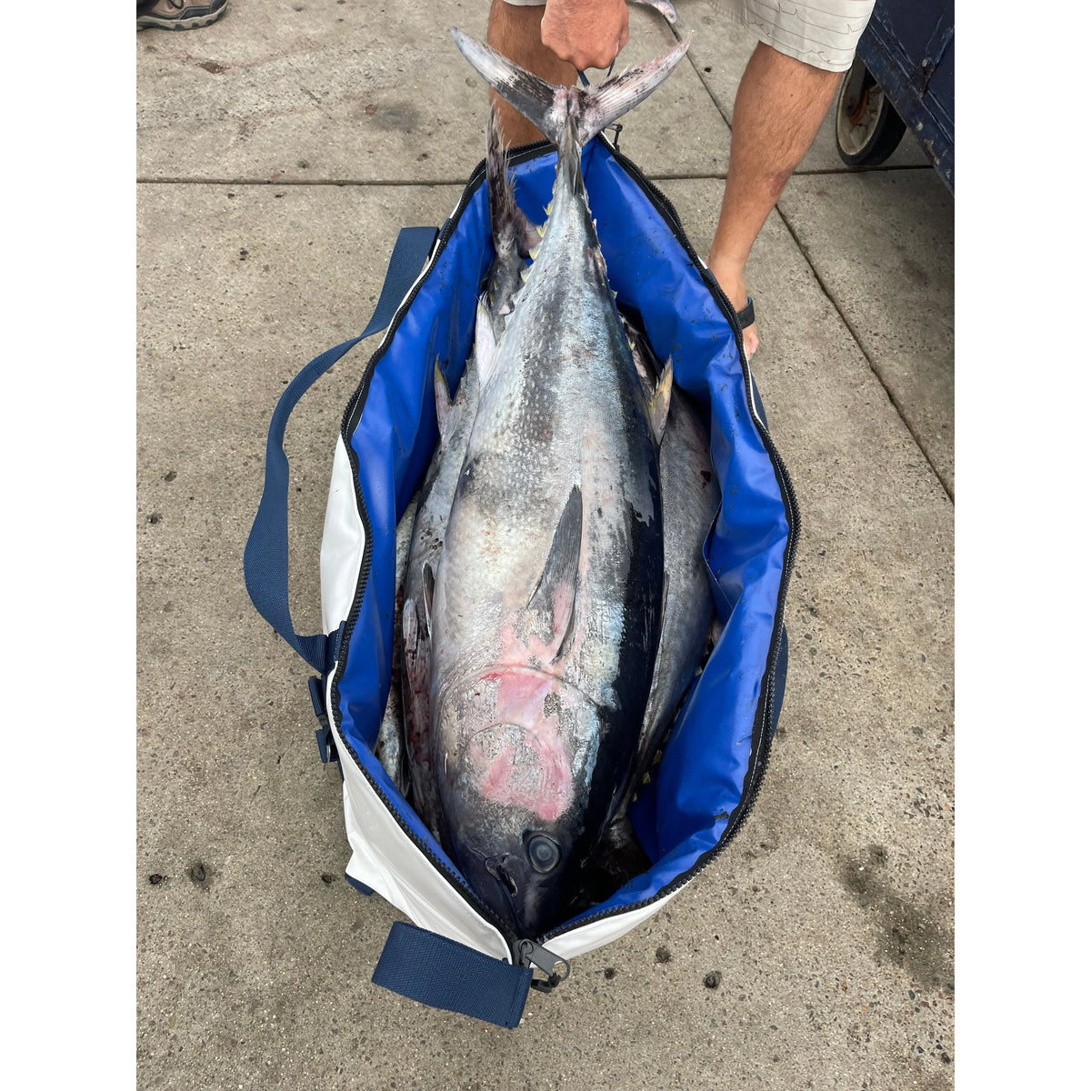 48" Multi-Species Insulated Fish Kill Bag