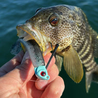 Warbaits Weedless Swimbait Head - Mint, 2pk