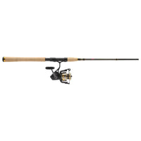 Penn Battle® IV Spinning Combo