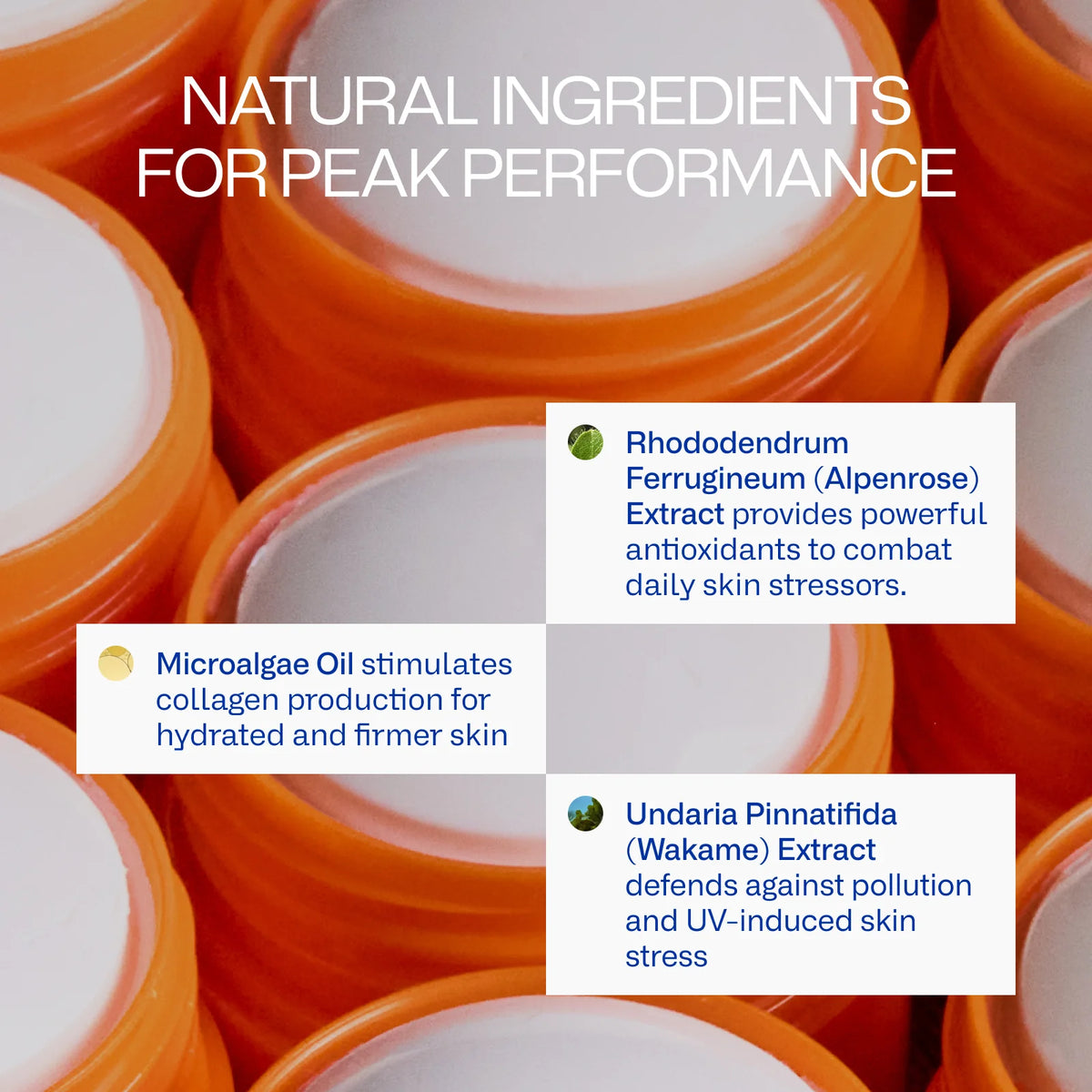 Freaks of Nature SPF 50 Sun Stick